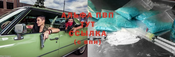 ECSTASY Магас